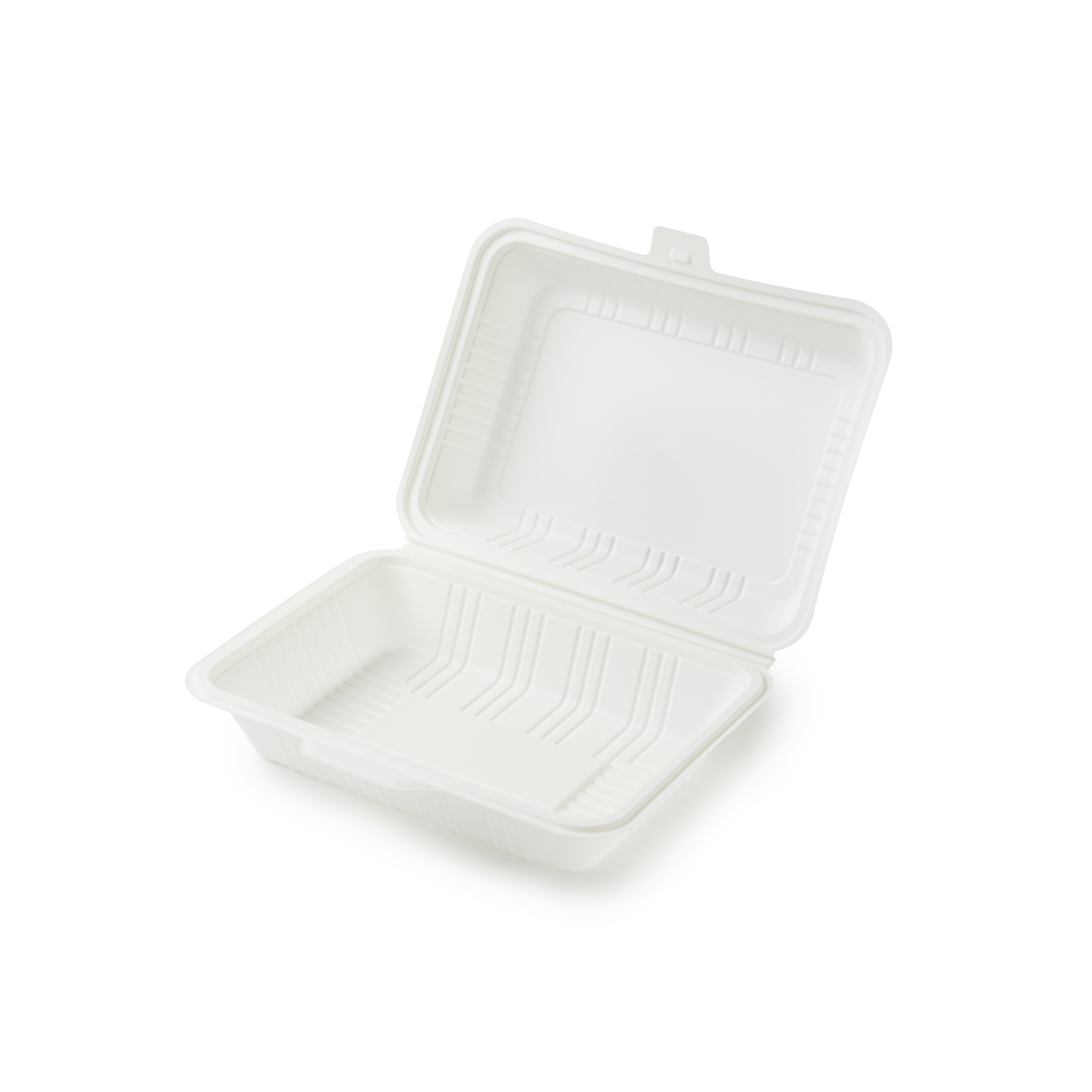 Corn Starch Dinner Plate