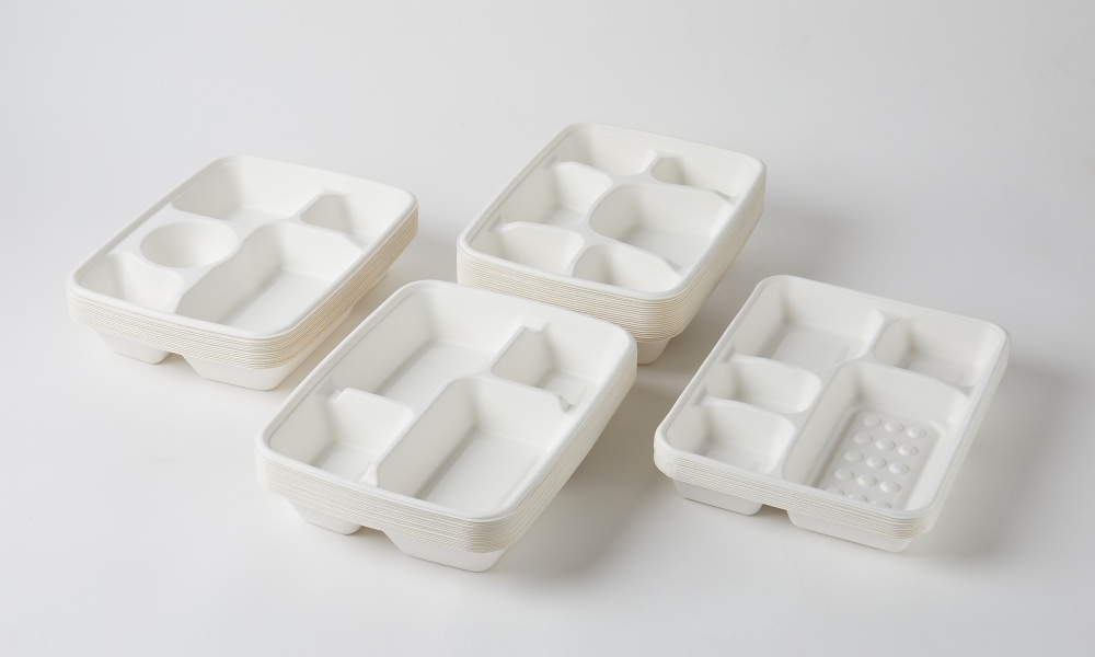 Corn Starch Dinner Plate