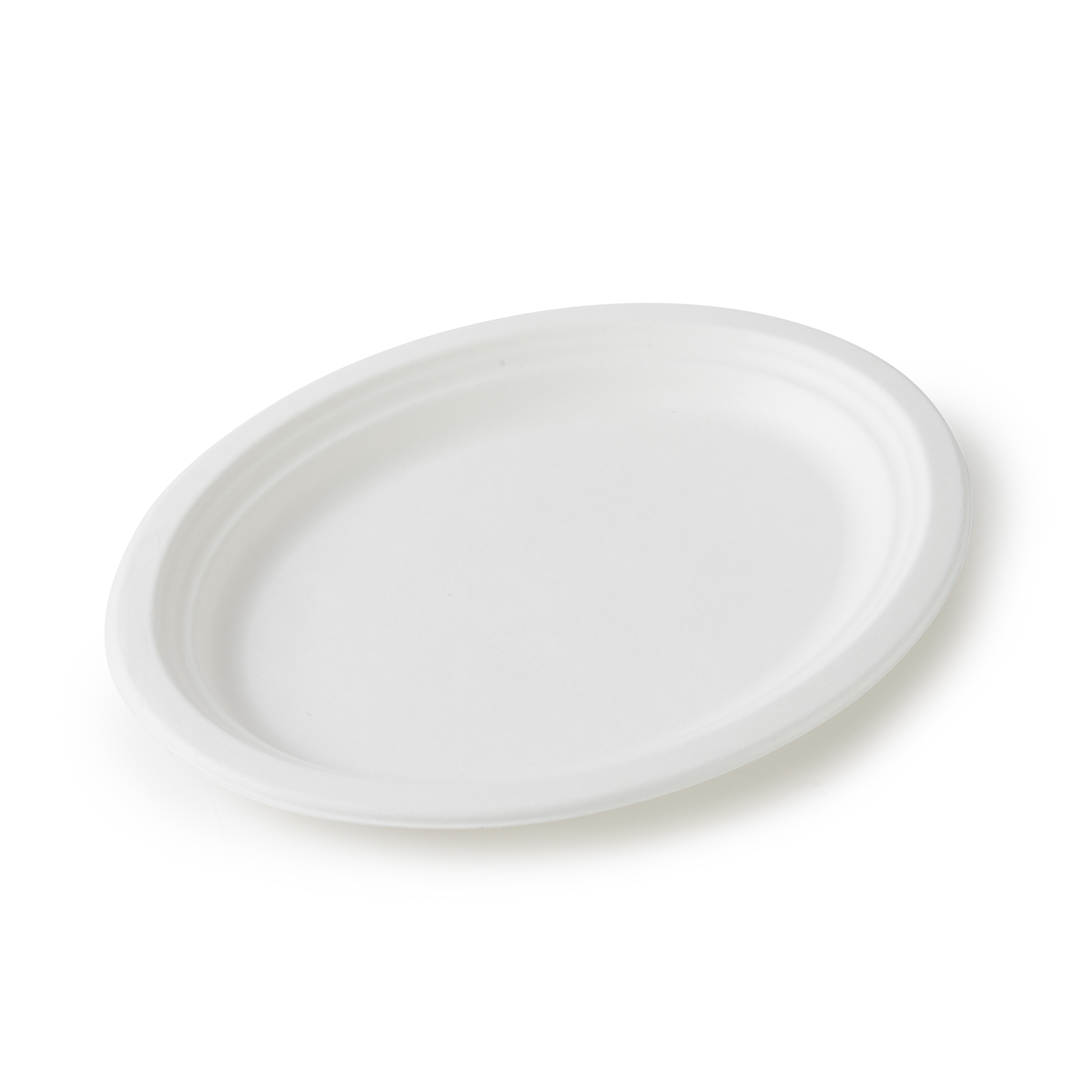 Corn Starch Dinner Plate
