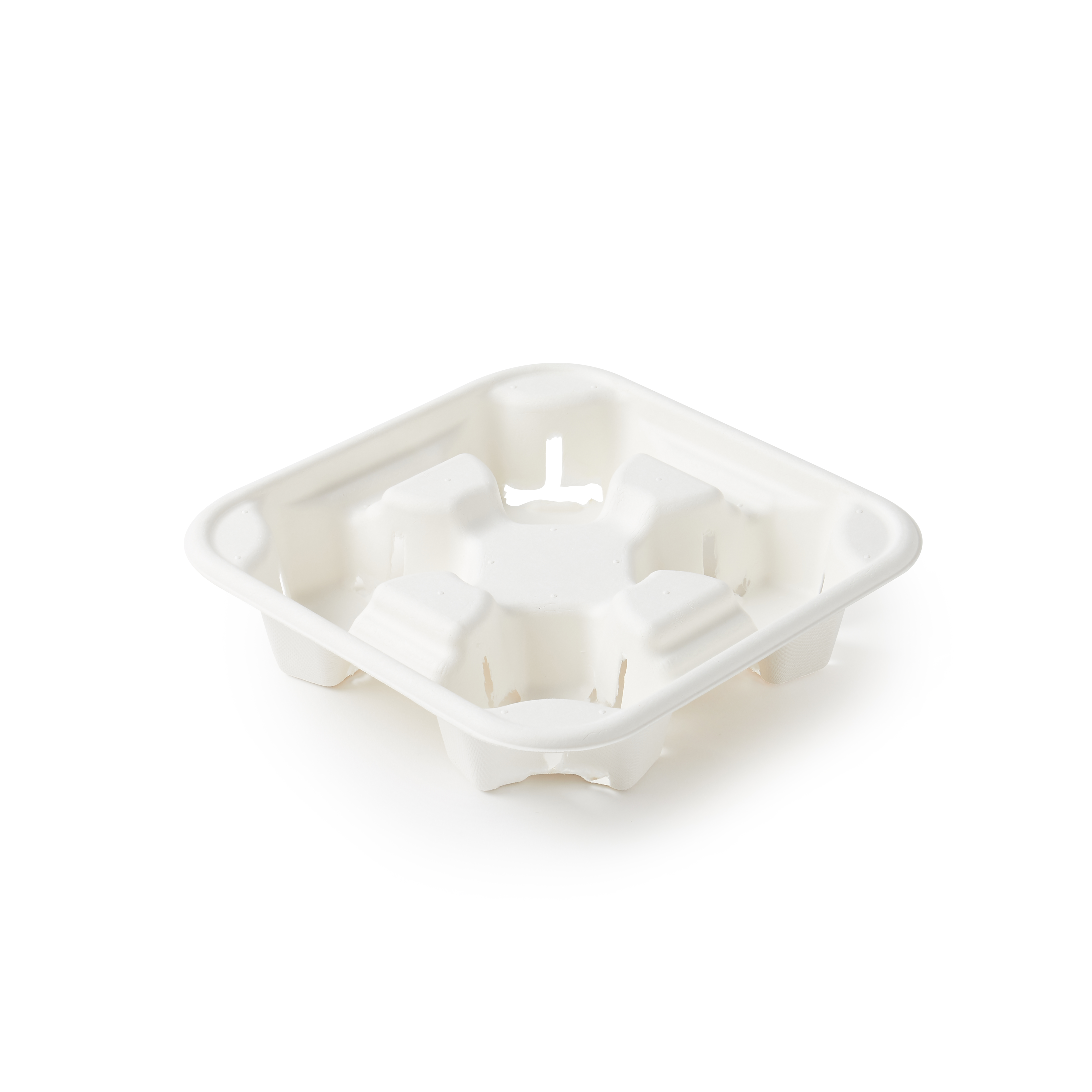 Custom Corn Starch Molded Dinner Plates