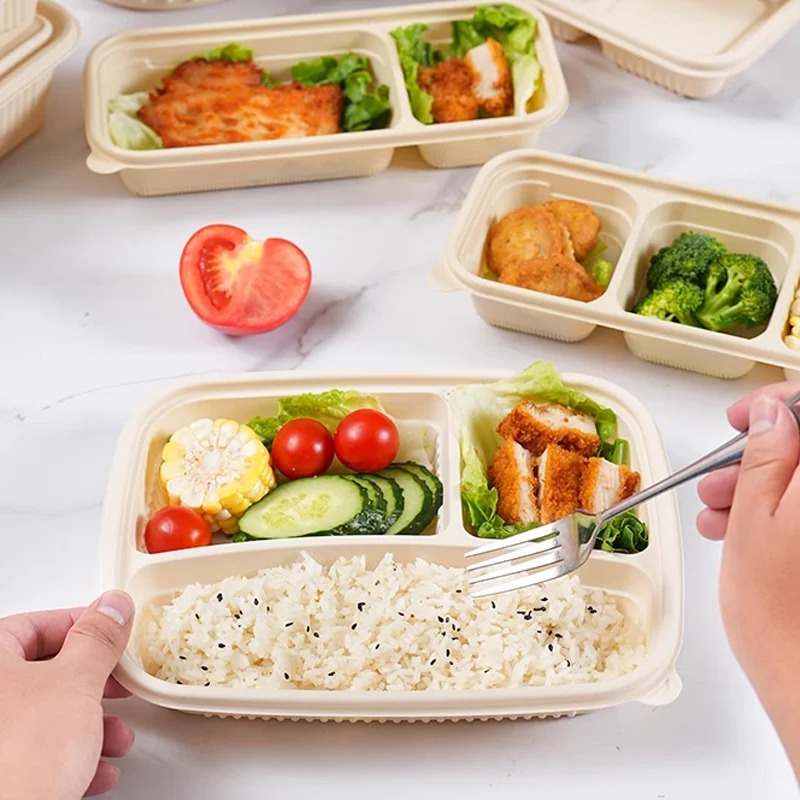 Corn Starch Plate Microwave Safety