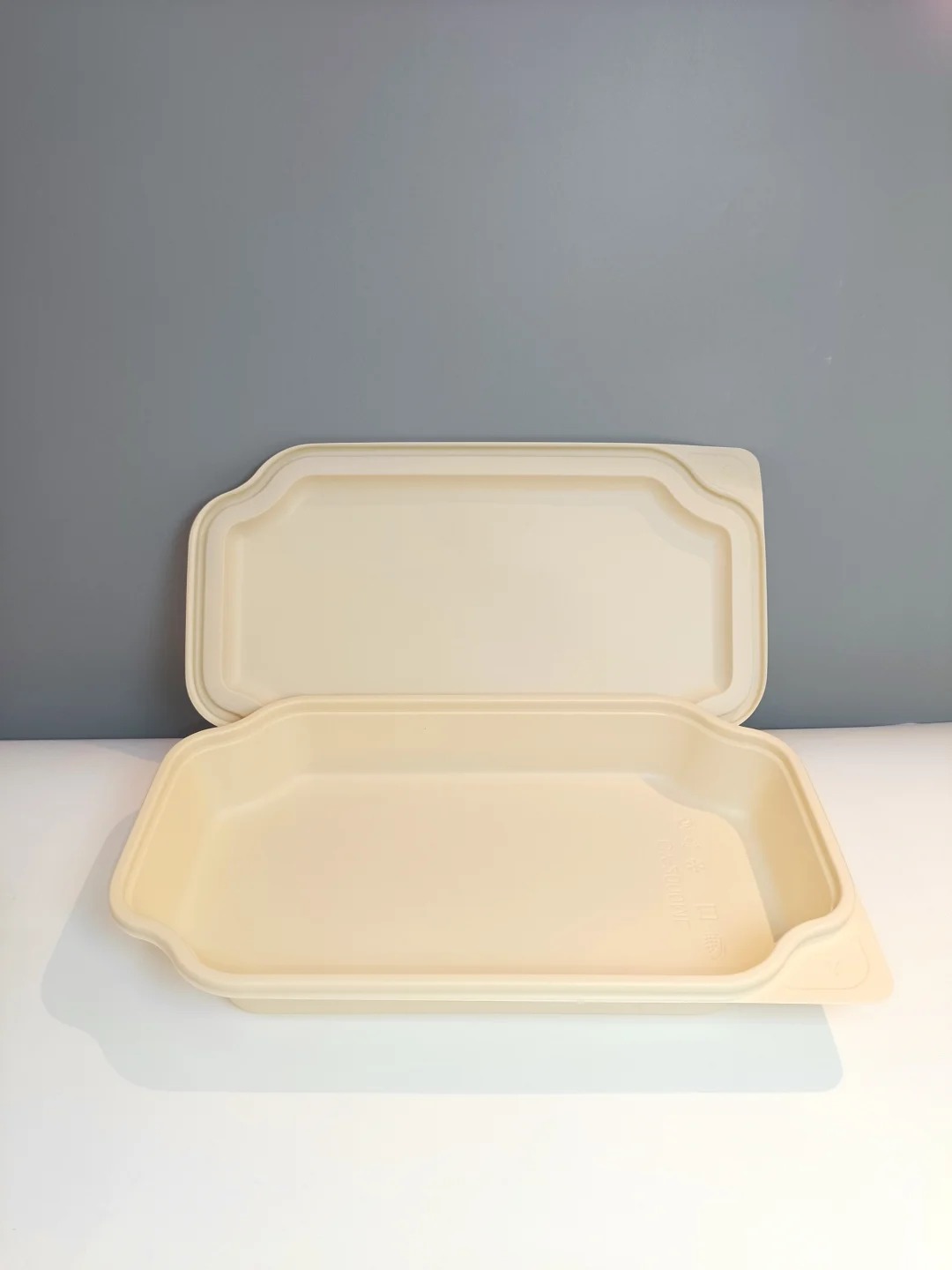 Sugarcane Tableware Production