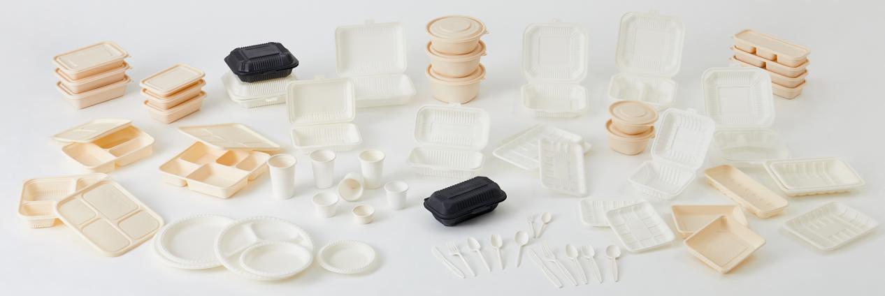 Various Corn Starch Tableware Designs