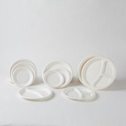 Bagasse bowls