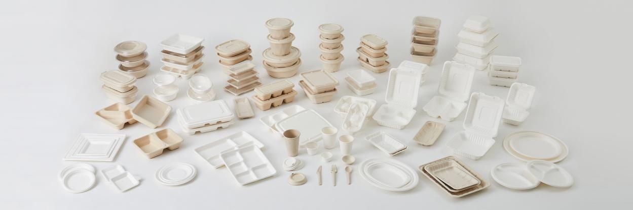 Bagasse Tableware