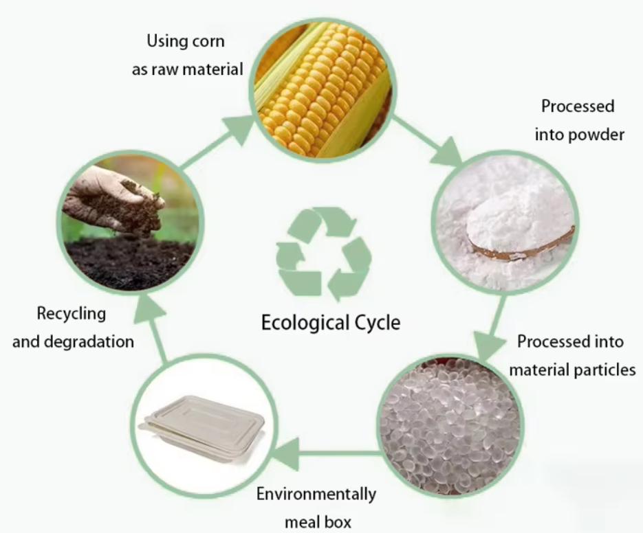 Corn Starch Food Containers