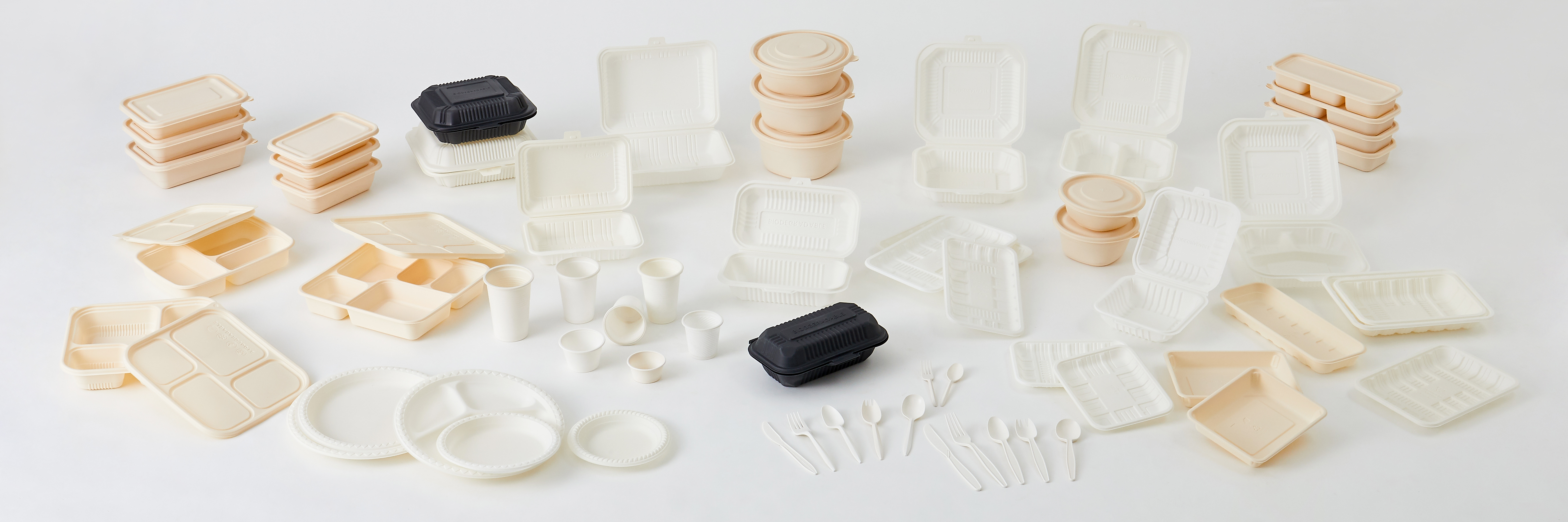 Corn Starch Food Container Features