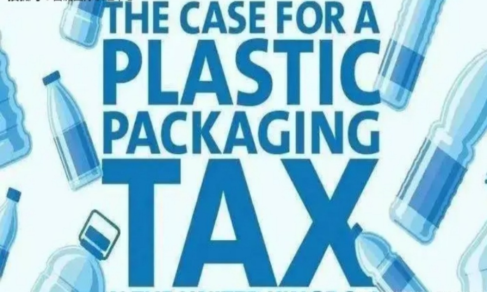 Consumer Preference for Sustainable Brands