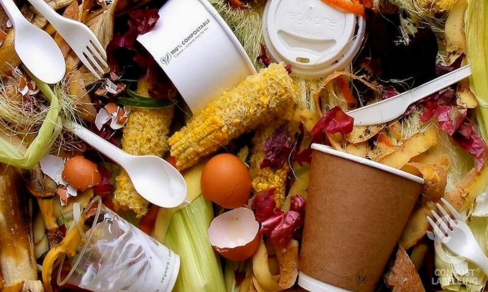 Automated Stretch Wrapping Technology