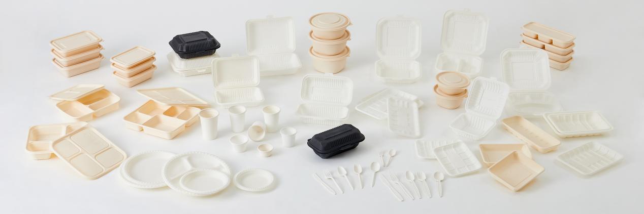 Cornstarch Food Containers